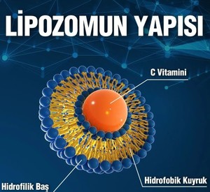  LipoVia Lipozomal Vitamin C, 30 Kapsül