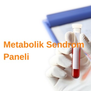  Metabolik Sendrom Paneli